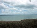 25 - Mangrove 024